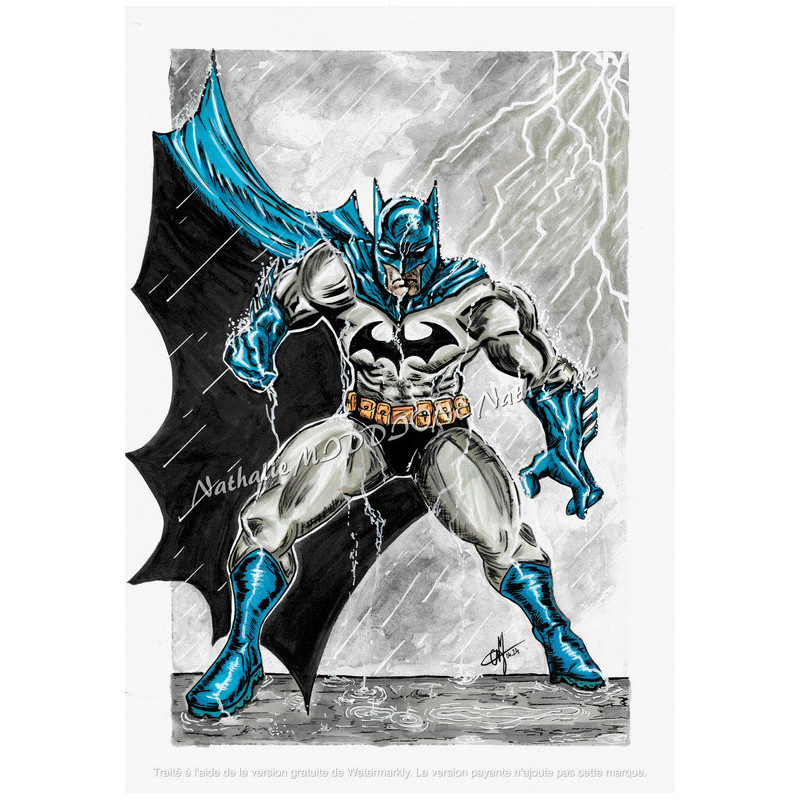 Batman print