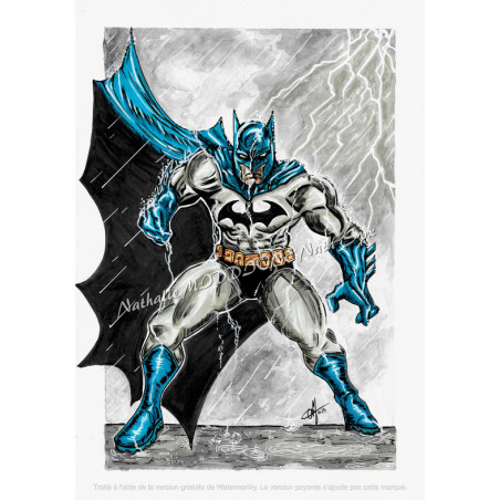Batman print