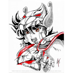 Seiya de Pégase / Saint Seiya / Les chevaliers du zodiaque