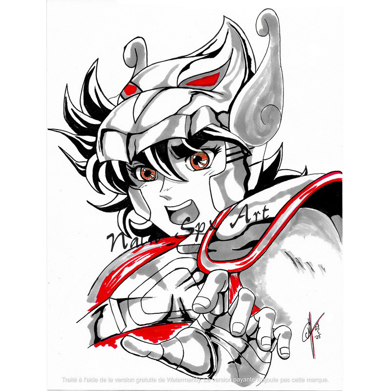Seiya de Pégase / Saint Seiya / Les chevaliers du zodiaque