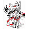 Seiya de Pégase / Saint Seiya / Les chevaliers du zodiaque