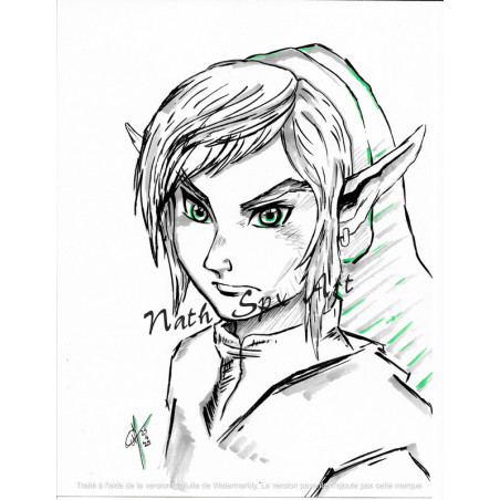 Link from Zelda